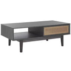 Ceu 2 Door Coffee Table - Safavieh