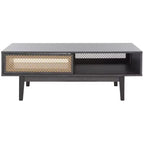 Ceu 2 Door Coffee Table - Safavieh