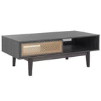 Ceu 2 Door Coffee Table - Safavieh