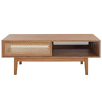 Ceu 2 Door Coffee Table - Safavieh