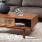 Ceu 2 Door Coffee Table - Safavieh