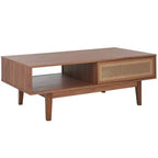 Ceu 2 Door Coffee Table - Safavieh