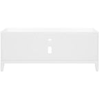 Riya 2 Door 1 Shelf Media Stand - MED5006 - White - Safavieh