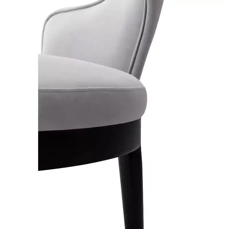Manhattan Comfort Set of 2 Carrington Modern Velvet Upholstered Dining Armchairs
