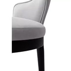Manhattan Comfort Set of 2 Carrington Modern Velvet Upholstered Dining Armchairs